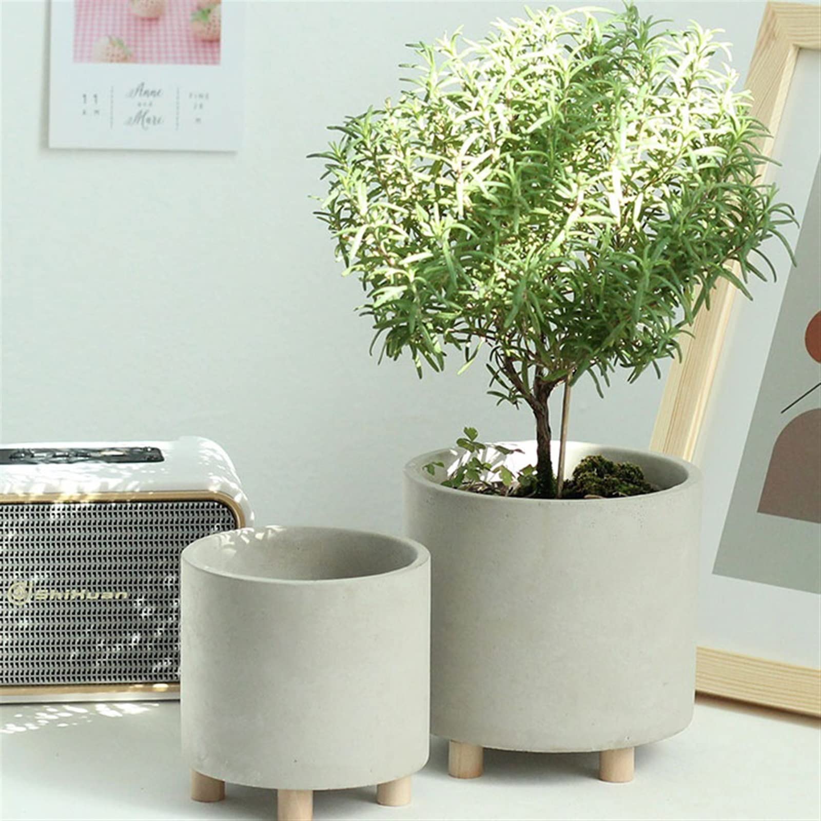 Amazon.com: thalo Planter Pots Simple Cement Flower Pot High